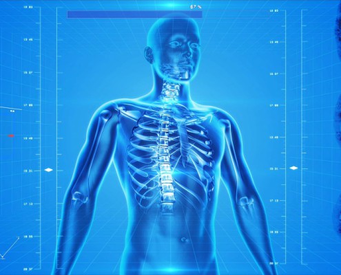 Cuerpo humano