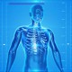 Cuerpo humano